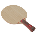 Stiga and Rodney's table tennis