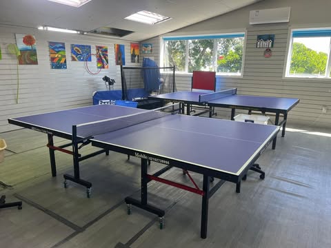 16mm Blue Top Table Tennis table with 75mm wheels 6 balls and a great net