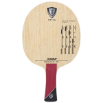 Xiom 19 Stradivarius  Carbon blade