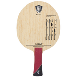 Xiom 19 Stradivarius  Carbon blade