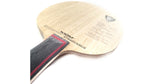 Xiom 19 Stradivarius  Carbon blade