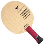Xiom 19 Stradivarius  Carbon blade